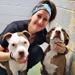 Denise: Licensed Veterinary Technician